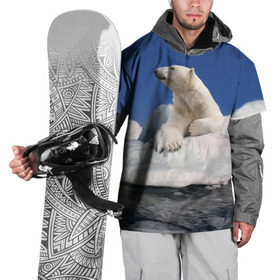 Накидка на куртку 3D с принтом Арктика в Новосибирске, 100% полиэстер |  | Тематика изображения на принте: animals | bear | ice | nature | polar bear | power | travel | белый медведь | животные | лёд | медведь | природа | путешествия | сила | снег
