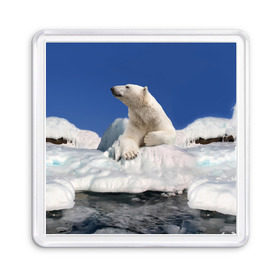 Магнит 55*55 с принтом Арктика в Новосибирске, Пластик | Размер: 65*65 мм; Размер печати: 55*55 мм | Тематика изображения на принте: animals | bear | ice | nature | polar bear | power | travel | белый медведь | животные | лёд | медведь | природа | путешествия | сила | снег