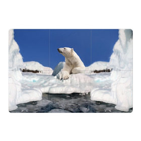 Магнитный плакат 3Х2 с принтом Арктика в Новосибирске, Полимерный материал с магнитным слоем | 6 деталей размером 9*9 см | Тематика изображения на принте: animals | bear | ice | nature | polar bear | power | travel | белый медведь | животные | лёд | медведь | природа | путешествия | сила | снег