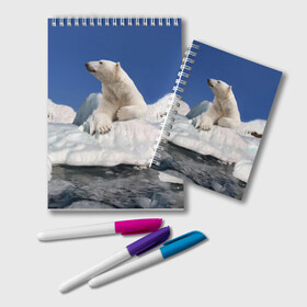 Блокнот с принтом Арктика в Новосибирске, 100% бумага | 48 листов, плотность листов — 60 г/м2, плотность картонной обложки — 250 г/м2. Листы скреплены удобной пружинной спиралью. Цвет линий — светло-серый
 | Тематика изображения на принте: animals | bear | ice | nature | polar bear | power | travel | белый медведь | животные | лёд | медведь | природа | путешествия | сила | снег