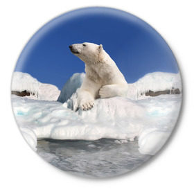 Значок с принтом Арктика в Новосибирске,  металл | круглая форма, металлическая застежка в виде булавки | Тематика изображения на принте: animals | bear | ice | nature | polar bear | power | travel | белый медведь | животные | лёд | медведь | природа | путешествия | сила | снег