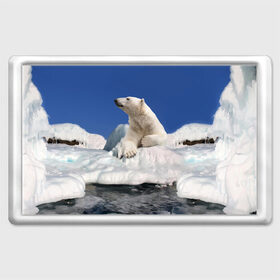 Магнит 45*70 с принтом Арктика в Новосибирске, Пластик | Размер: 78*52 мм; Размер печати: 70*45 | animals | bear | ice | nature | polar bear | power | travel | белый медведь | животные | лёд | медведь | природа | путешествия | сила | снег