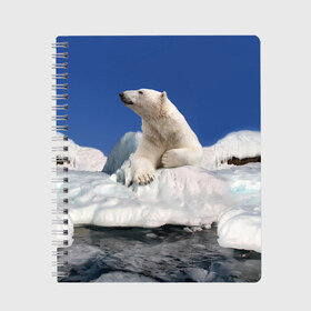 Тетрадь с принтом Арктика в Новосибирске, 100% бумага | 48 листов, плотность листов — 60 г/м2, плотность картонной обложки — 250 г/м2. Листы скреплены сбоку удобной пружинной спиралью. Уголки страниц и обложки скругленные. Цвет линий — светло-серый
 | animals | bear | ice | nature | polar bear | power | travel | белый медведь | животные | лёд | медведь | природа | путешествия | сила | снег
