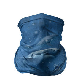 Бандана-труба 3D с принтом Shark в Новосибирске, 100% полиэстер, ткань с особыми свойствами — Activecool | плотность 150‒180 г/м2; хорошо тянется, но сохраняет форму | fish | ocean | акула | вода | животные | море | океан | рыба | челюсти