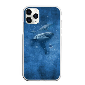 Чехол для iPhone 11 Pro матовый с принтом Shark в Новосибирске, Силикон |  | fish | ocean | акула | вода | животные | море | океан | рыба | челюсти