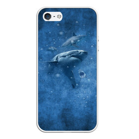 Чехол для iPhone 5/5S матовый с принтом Shark в Новосибирске, Силикон | Область печати: задняя сторона чехла, без боковых панелей | fish | ocean | акула | вода | животные | море | океан | рыба | челюсти