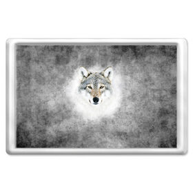 Магнит 45*70 с принтом Wolf в Новосибирске, Пластик | Размер: 78*52 мм; Размер печати: 70*45 | animal | snow | волк | животные | снег | хищник