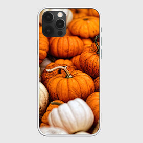 Чехол для iPhone 12 Pro Max с принтом тыквы в Новосибирске, Силикон |  | halloween | дача | овощи | октябрь | оранжевый | осень | сентябрь | тыква | хеллуин