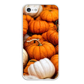Чехол для iPhone 5/5S матовый с принтом тыквы в Новосибирске, Силикон | Область печати: задняя сторона чехла, без боковых панелей | halloween | дача | овощи | октябрь | оранжевый | осень | сентябрь | тыква | хеллуин