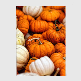 Постер с принтом тыквы в Новосибирске, 100% бумага
 | бумага, плотность 150 мг. Матовая, но за счет высокого коэффициента гладкости имеет небольшой блеск и дает на свету блики, но в отличии от глянцевой бумаги не покрыта лаком | halloween | дача | овощи | октябрь | оранжевый | осень | сентябрь | тыква | хеллуин