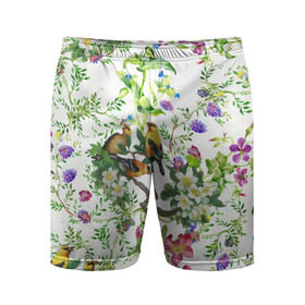 Мужские шорты 3D спортивные с принтом Райский остров в Новосибирске,  |  | арт | краска | попугаи | попугай | прикольные | рай | тропики | цветные | цветок | цветы