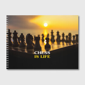 Альбом для рисования с принтом Шахматы - это жизнь в Новосибирске, 100% бумага
 | матовая бумага, плотность 200 мг. | Тематика изображения на принте: chess | game | sport | гроссмейстер | закат | игра | интеллект | солнце | спорт | фигура | шахматист | шахматы