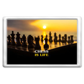 Магнит 45*70 с принтом Шахматы - это жизнь в Новосибирске, Пластик | Размер: 78*52 мм; Размер печати: 70*45 | chess | game | sport | гроссмейстер | закат | игра | интеллект | солнце | спорт | фигура | шахматист | шахматы