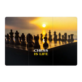 Магнитный плакат 3Х2 с принтом Шахматы - это жизнь в Новосибирске, Полимерный материал с магнитным слоем | 6 деталей размером 9*9 см | chess | game | sport | гроссмейстер | закат | игра | интеллект | солнце | спорт | фигура | шахматист | шахматы