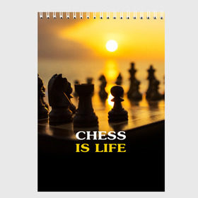Скетчбук с принтом Шахматы - это жизнь в Новосибирске, 100% бумага
 | 48 листов, плотность листов — 100 г/м2, плотность картонной обложки — 250 г/м2. Листы скреплены сверху удобной пружинной спиралью | Тематика изображения на принте: chess | game | sport | гроссмейстер | закат | игра | интеллект | солнце | спорт | фигура | шахматист | шахматы
