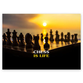 Поздравительная открытка с принтом Шахматы - это жизнь в Новосибирске, 100% бумага | плотность бумаги 280 г/м2, матовая, на обратной стороне линовка и место для марки
 | Тематика изображения на принте: chess | game | sport | гроссмейстер | закат | игра | интеллект | солнце | спорт | фигура | шахматист | шахматы