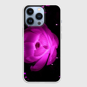 Чехол для iPhone 13 Pro с принтом ЦВЕТОК | FLOWER | 8 МАРТА в Новосибирске,  |  | Тематика изображения на принте: лепестки | модные | природа | растения | розовый | тренды | фон | цвет | цветок | цветы | черный