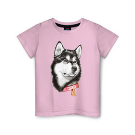 Детская футболка хлопок с принтом Маламут в Новосибирске, 100% хлопок | круглый вырез горловины, полуприлегающий силуэт, длина до линии бедер | Тематика изображения на принте: аляска | карандаш | маламут | рисунок | собака | хаски