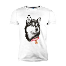 Мужская футболка премиум с принтом Маламут в Новосибирске, 92% хлопок, 8% лайкра | приталенный силуэт, круглый вырез ворота, длина до линии бедра, короткий рукав | аляска | карандаш | маламут | рисунок | собака | хаски