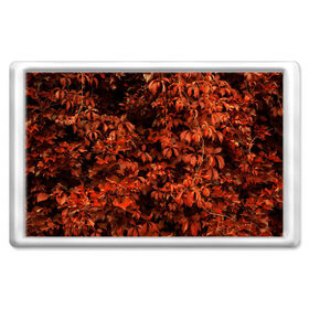 Магнит 45*70 с принтом осенние листья в Новосибирске, Пластик | Размер: 78*52 мм; Размер печати: 70*45 | 