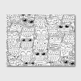 Альбом для рисования с принтом Совушки pattern в Новосибирске, 100% бумага
 | матовая бумага, плотность 200 мг. | Тематика изображения на принте: bird | owl | животные | ночные птицы | птицы | совы