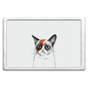 Магнит 45*70 с принтом Grumpy cat (David Bowie) в Новосибирске, Пластик | Размер: 78*52 мм; Размер печати: 70*45 | Тематика изображения на принте: бодиарт | грумпи | дэвид боуи | злой кот | интернет | котей | котик | кошка | мем | мемас | мемчик. | молния на лице | рисунок на лице | сердитый