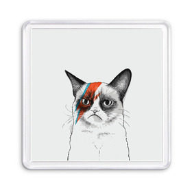 Магнит 55*55 с принтом Grumpy cat (David Bowie) в Новосибирске, Пластик | Размер: 65*65 мм; Размер печати: 55*55 мм | Тематика изображения на принте: бодиарт | грумпи | дэвид боуи | злой кот | интернет | котей | котик | кошка | мем | мемас | мемчик. | молния на лице | рисунок на лице | сердитый