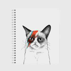 Тетрадь с принтом Grumpy cat (David Bowie) в Новосибирске, 100% бумага | 48 листов, плотность листов — 60 г/м2, плотность картонной обложки — 250 г/м2. Листы скреплены сбоку удобной пружинной спиралью. Уголки страниц и обложки скругленные. Цвет линий — светло-серый
 | бодиарт | грумпи | дэвид боуи | злой кот | интернет | котей | котик | кошка | мем | мемас | мемчик. | молния на лице | рисунок на лице | сердитый