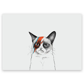Поздравительная открытка с принтом Grumpy cat (David Bowie) в Новосибирске, 100% бумага | плотность бумаги 280 г/м2, матовая, на обратной стороне линовка и место для марки
 | Тематика изображения на принте: бодиарт | грумпи | дэвид боуи | злой кот | интернет | котей | котик | кошка | мем | мемас | мемчик. | молния на лице | рисунок на лице | сердитый