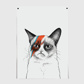 Постер с принтом Grumpy cat (David Bowie) в Новосибирске, 100% бумага
 | бумага, плотность 150 мг. Матовая, но за счет высокого коэффициента гладкости имеет небольшой блеск и дает на свету блики, но в отличии от глянцевой бумаги не покрыта лаком | бодиарт | грумпи | дэвид боуи | злой кот | интернет | котей | котик | кошка | мем | мемас | мемчик. | молния на лице | рисунок на лице | сердитый