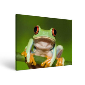 Холст прямоугольный с принтом Лягушка в Новосибирске, 100% ПВХ |  | Тематика изображения на принте: frog | жаба | животные | зеленый | ква | лягуха | лягушка | лягушонок