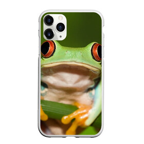Чехол для iPhone 11 Pro Max матовый с принтом Лягушка в Новосибирске, Силикон |  | Тематика изображения на принте: frog | жаба | животные | зеленый | ква | лягуха | лягушка | лягушонок