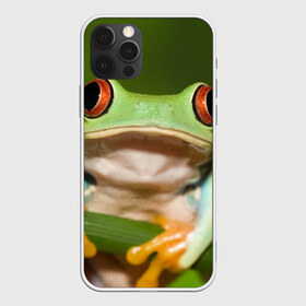 Чехол для iPhone 12 Pro Max с принтом Лягушка в Новосибирске, Силикон |  | Тематика изображения на принте: frog | жаба | животные | зеленый | ква | лягуха | лягушка | лягушонок