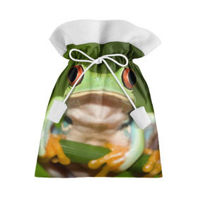Подарочный 3D мешок с принтом Лягушка в Новосибирске, 100% полиэстер | Размер: 29*39 см | Тематика изображения на принте: frog | жаба | животные | зеленый | ква | лягуха | лягушка | лягушонок