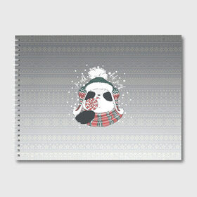 Альбом для рисования с принтом So cold, but sweet в Новосибирске, 100% бумага
 | матовая бумага, плотность 200 мг. | Тематика изображения на принте: зима | новый год | панда | подарок | рождество