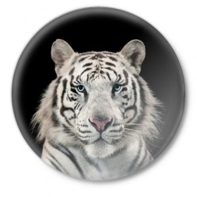 Значок с принтом White tiger в Новосибирске,  металл | круглая форма, металлическая застежка в виде булавки | Тематика изображения на принте: tiger white | белый тигр | дикая кошка | тигр