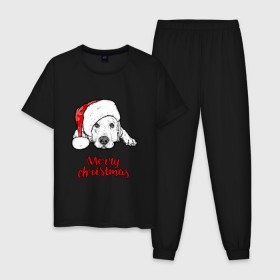 Мужская пижама хлопок с принтом Собака Санта в Новосибирске, 100% хлопок | брюки и футболка прямого кроя, без карманов, на брюках мягкая резинка на поясе и по низу штанин
 | christmas | dog | holiday | new year | santa claus | santa hat | snow | snowflakes | winter | дед мороз | зима | новый год | праздник | рождество | санта клаус | снег | снежинки | собака | шапка