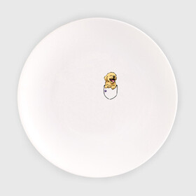 Тарелка с принтом Собачка в кармане в Новосибирске, фарфор | диаметр - 210 мм
диаметр для нанесения принта - 120 мм | Тематика изображения на принте: год собаки | новый год | собака
