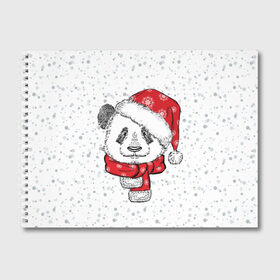 Альбом для рисования с принтом Панда Санта в Новосибирске, 100% бумага
 | матовая бумага, плотность 200 мг. | дед мороз | зима | медведь | праздник | рождество | санта клаус | снег | шапка | шарф