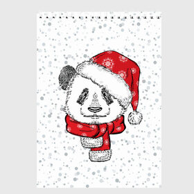 Скетчбук с принтом Панда Санта в Новосибирске, 100% бумага
 | 48 листов, плотность листов — 100 г/м2, плотность картонной обложки — 250 г/м2. Листы скреплены сверху удобной пружинной спиралью | дед мороз | зима | медведь | праздник | рождество | санта клаус | снег | шапка | шарф