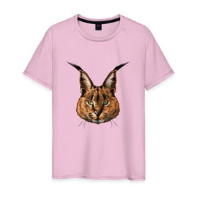 Мужская футболка хлопок с принтом Каракал (рысь) в Новосибирске, 100% хлопок | прямой крой, круглый вырез горловины, длина до линии бедер, слегка спущенное плечо. | животные | каракал | киса | кот | котенок | котик | кошка | рысь | хищник