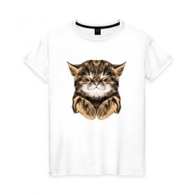 Женская футболка хлопок с принтом Котёнок в Новосибирске, 100% хлопок | прямой крой, круглый вырез горловины, длина до линии бедер, слегка спущенное плечо | cat | животные | киса | кот | котенок | котик | кошка | сон | спит