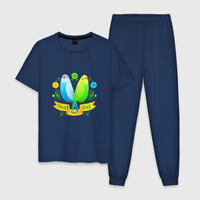 Мужская пижама хлопок с принтом Попугаи арт в Новосибирске, 100% хлопок | брюки и футболка прямого кроя, без карманов, на брюках мягкая резинка на поясе и по низу штанин
 | Тематика изображения на принте: волнистый попугай | джунгли | попугай