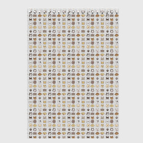 Скетчбук с принтом Веселые Чихуахуа в Новосибирске, 100% бумага
 | 48 листов, плотность листов — 100 г/м2, плотность картонной обложки — 250 г/м2. Листы скреплены сверху удобной пружинной спиралью | Тематика изображения на принте: домашние животные | пес | собака