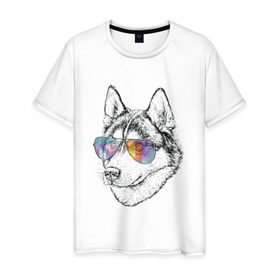 Мужская футболка хлопок с принтом Хаски в очках в Новосибирске, 100% хлопок | прямой крой, круглый вырез горловины, длина до линии бедер, слегка спущенное плечо. | бандит | домашние животные | пес | песик | собака | собачка | хаски | хаски бандит