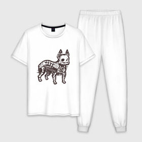 Мужская пижама хлопок с принтом Бульдог ренген в Новосибирске, 100% хлопок | брюки и футболка прямого кроя, без карманов, на брюках мягкая резинка на поясе и по низу штанин
 | Тематика изображения на принте: бульдог | домашние животные | пес | песик | собака | собачка | французский бульдог