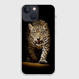 Чехол для iPhone 13 mini с принтом Leopard в Новосибирске,  |  | дикая кошка | зверь | клыки | кот | леопард | оскал | пантера | природа | хищник | ягуар