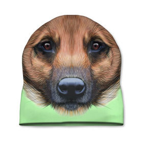 Шапка 3D с принтом Немецкая овчарка в Новосибирске, 100% полиэстер | универсальный размер, печать по всей поверхности изделия | Тематика изображения на принте: dog | овчарка | пес | песик | собака | собачка
