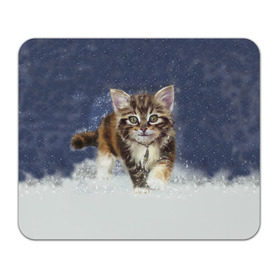 Коврик прямоугольный с принтом Зимний котик в Новосибирске, натуральный каучук | размер 230 х 185 мм; запечатка лицевой стороны | Тематика изображения на принте: зима | кот | котенок | кошка | новый год | снег | снежинка | снежок