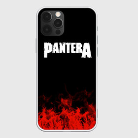 Чехол для iPhone 12 Pro Max с принтом Pantera в Новосибирске, Силикон |  | Тематика изображения на принте: band | metal | music | pantera | rock | атрибутика | группа | метал | музыка | рок